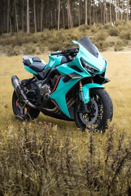 BMW S 1000 RR 2024